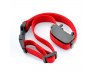 Red Collar