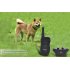 Remote Dog Trainer Collar with Two Receivers provides Vibration and has a Shock and Noise Design
