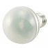 Remote Control LED Light Bulb