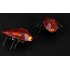 Remote Controlled Cockroach for Iphone  Ipad