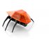 Remote Controlled Cockroach for Iphone  Ipad