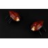 Remote Controlled Cockroach for Iphone  Ipad