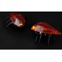 Remote Controlled Cockroach for Iphone  Ipad