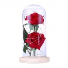 Romantic Simulate Rose Shape Night Light with <span style='color:#F7840C'>Glass</span> Shade for Home Valentine Tabletop Decor Beige base