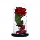 Rose LED Light Night Lamp Glass Dome Wedding Party Ornaments Valentine's Day Gift large