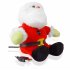 Santa Webcam   640x480 Resolution   30FPS