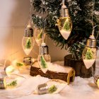 String  Light Ed Wishing Bottle Christmas Tree Decoration Ip54 Light String