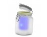 Solar Powered Sun Jar