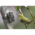 Suntek Mini 301 Tracking Camera Plug in Card 24mp 1296p Convenient Trail Camera Infrared Night Vision Wildlife Cam as picture show