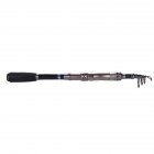 Retractable Fishing Pole Rods