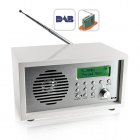 The iRadio is an attractive and highly practical DAB radio  It produces crystal clear and vibrant sounds with the build quality to match  
