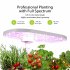 US JUSTSMART 12 Pods Hydroponics Growing System Indoor Garden Up To 16 Inch Hydroponics Kit