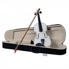 US Wooden 4/4 Acoustic Violin with Case Bow Rosin Student Violin Starter Kit