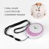USB Eyelash Extension Mini Fan with Mirror Glue Grafted Eyelashes Dedicated Dryer Makeup Tools Pink