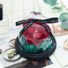 Valentines Day Gift Exclusive Rose In Glass Dome with Lights Eternal Real Rose Mother's Day Gifts Red