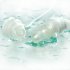 Waterproof MP3 Player   MP3 Swimming Player