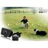 Wired Dog Fencing   Electric Shock Dog Collar