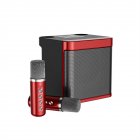 Ys203 100w High-power Wireless Portable Microphone Bluetooth-compatible Speaker Outdoor Family Party Karaoke Box red