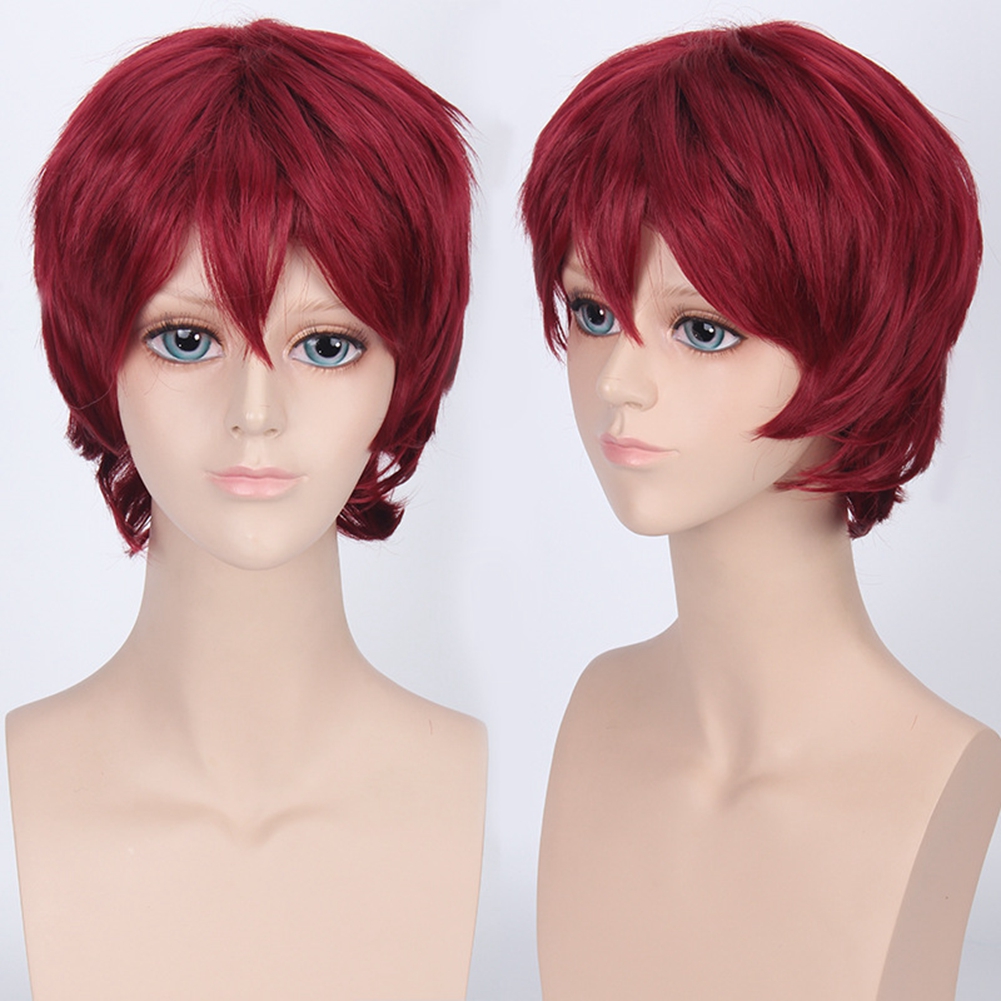 Wholesale Mens Cosplay Wigs Short Costume Wigs for Cosplay Party From China