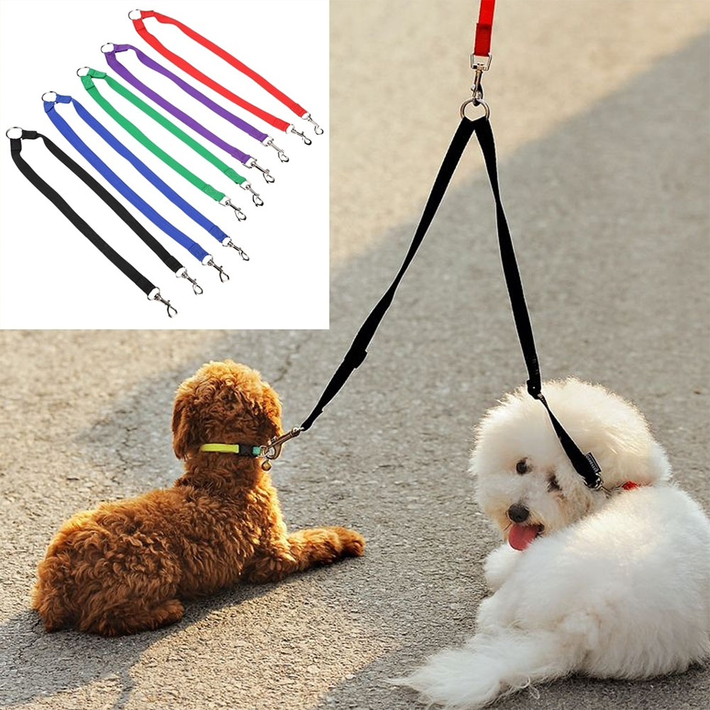 walking dog toy with lead