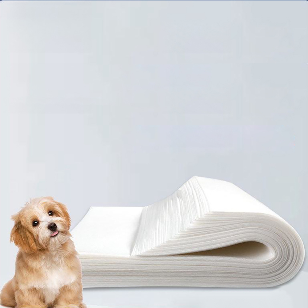 Dog Pee Pads Puppy Training Pads With Cross Mesh Double Layer Thickened Non-woven Fabric Strong Strength Fast Absorption Dog Pads For Pet Cage Regular 25x30cm 100 pieces
