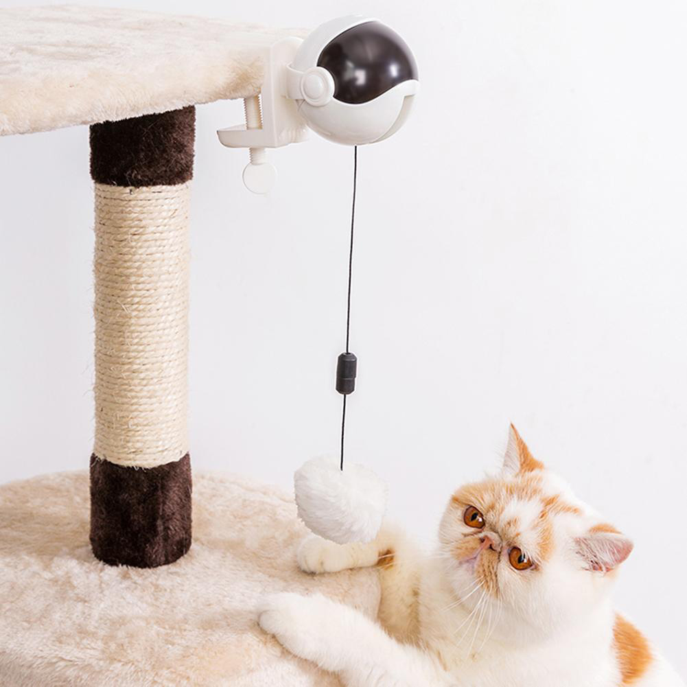 rod and reel cat toy