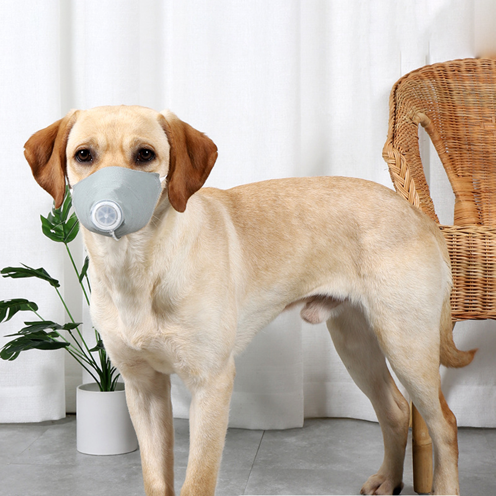 Pet Dog Soft Face Cotton Mouth Cover Respiratory Filter Anti-fog Haze Muzzle Face Guard Gray 3pcs/set_M