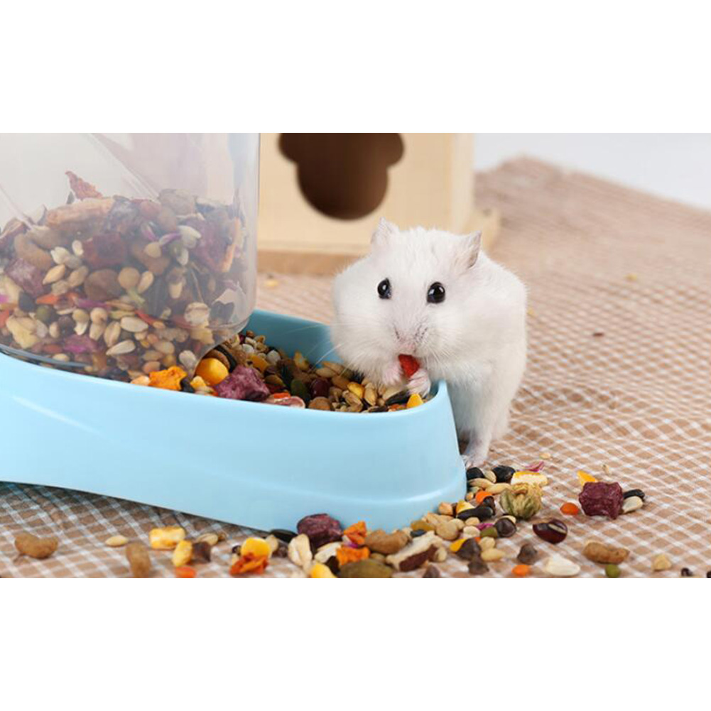 Wholesale Automatic Food Dispenser for Pet Hamster Syrian Hamster