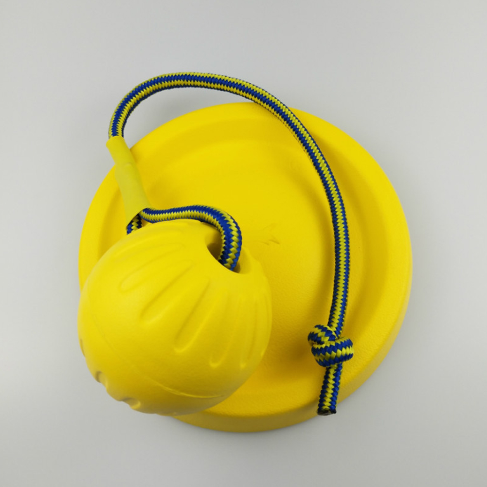 Prime 7 cm Bite-Resistant Training Ball Chew Toy with Rope for Pet Dogs - Fun and Durable