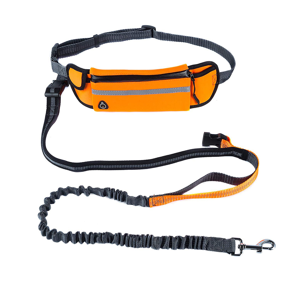 retractable handsfree leash clip
