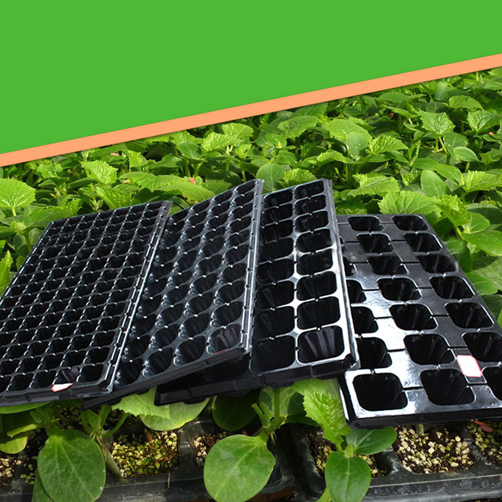 10Pcs Seedling Trays for Seed Germination Succulent Plants Flower