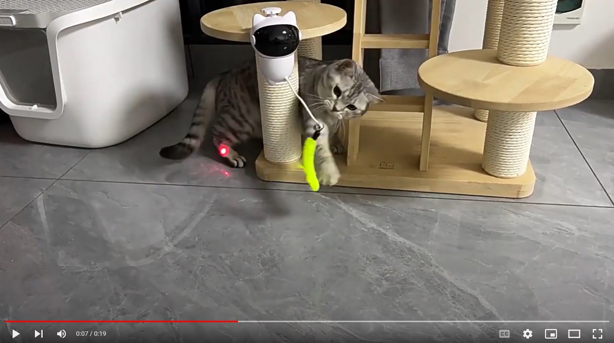 Cat Teaser Toy Automatic Smart Projection Interactive Toy with Feathers Electronic Cat Toy