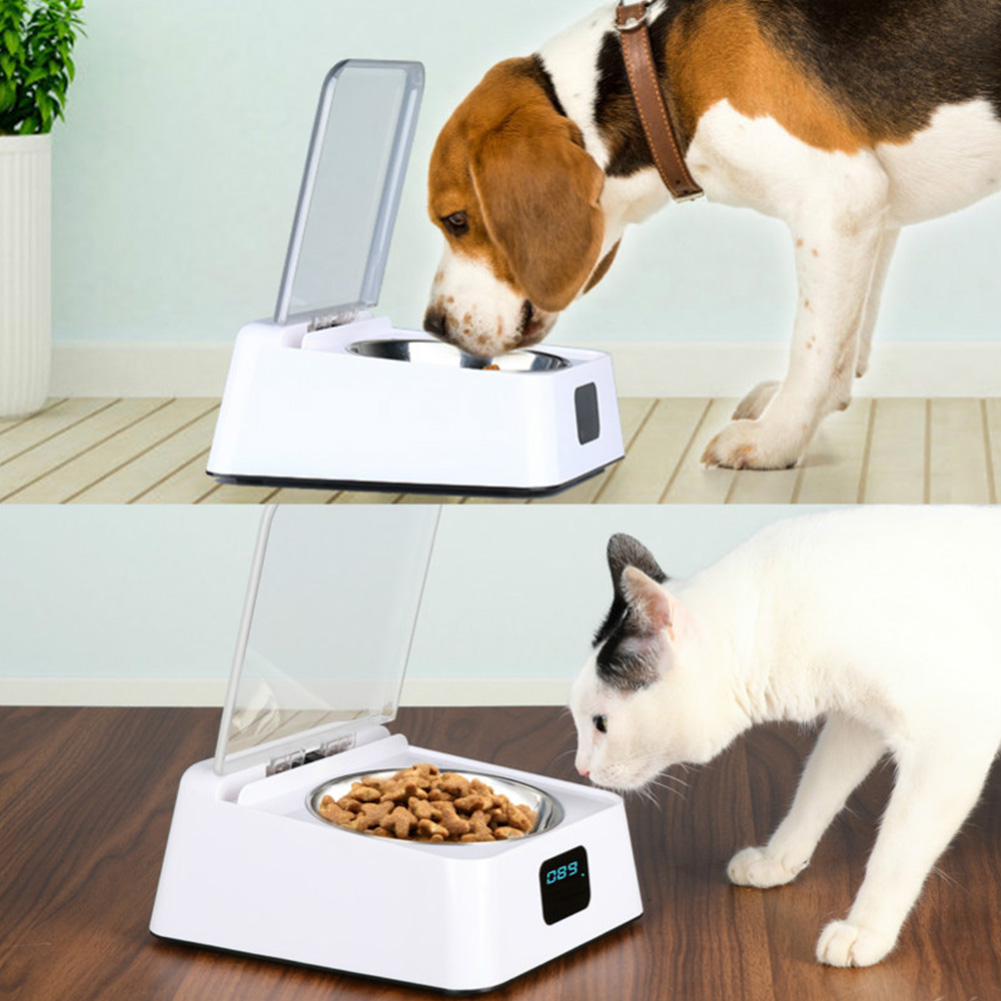 cat proof automatic feeder cat proof automatic feeder