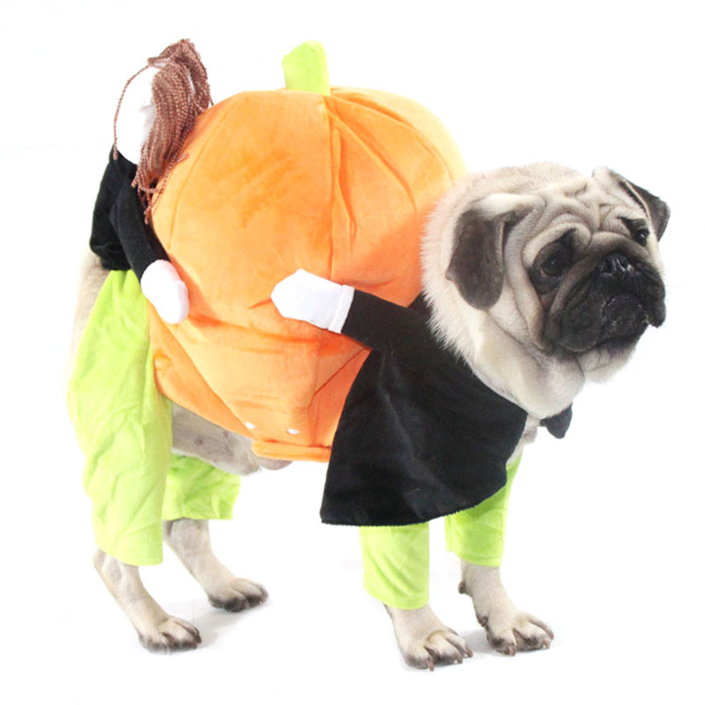 Wholesale Pet Halloween Cosplay Clothes Funny Pumpkin Dog Costume for ...