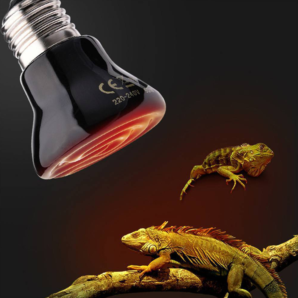 Wholesale Stylish Durable Mini Ceramic Heater for Reptiles and