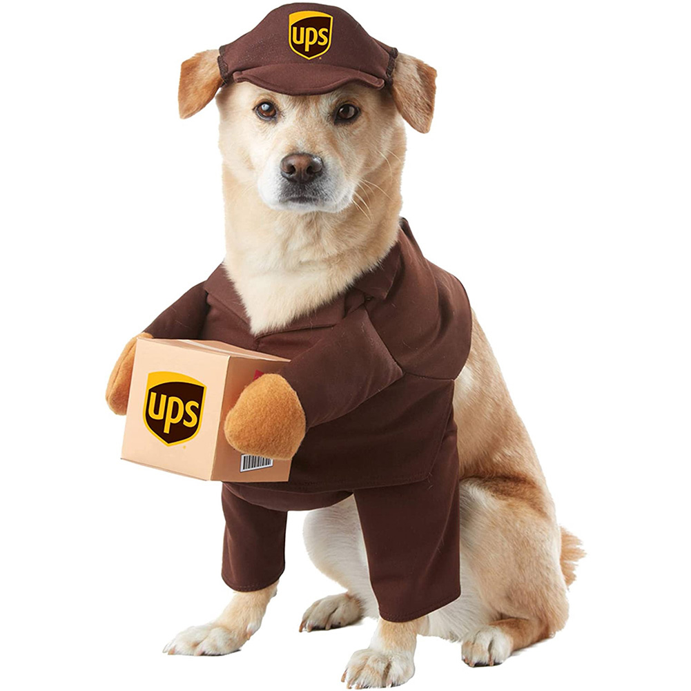 Pet Halloween Ups Costumes Funny Dress Up Outfits Set