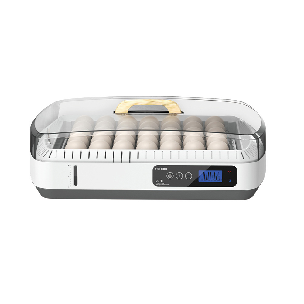 Smart Chicken Incubator for Hatching Eggs Small Poultry Duck Quail 35 Egg Incubator