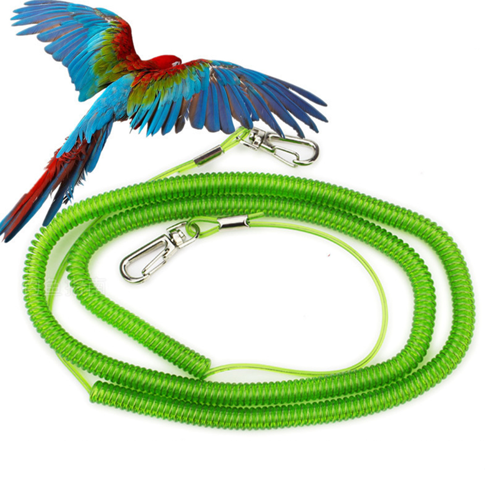 Wholesale 8 Outdoor Flying Elastic Rope for Parrot Birds Training