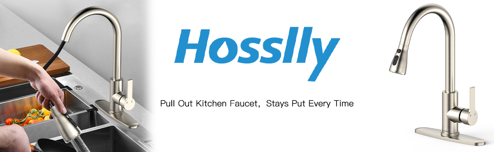 US HOSSLLY 1 stainless steel DL2040 pull-out kitchen faucet