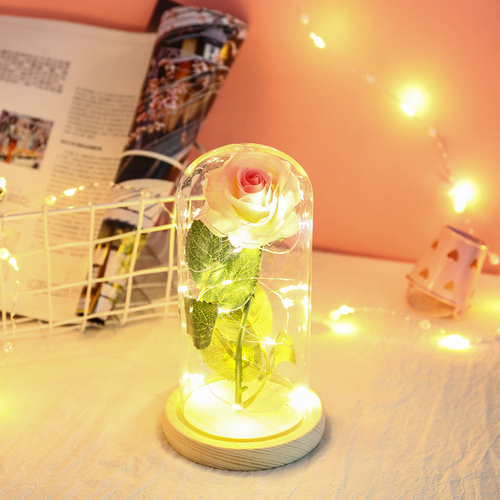 Glass Cover Rose Flowers LED Light String Gift Women Girls on Birthday Holiday Christmas Powered by Batteries pink white