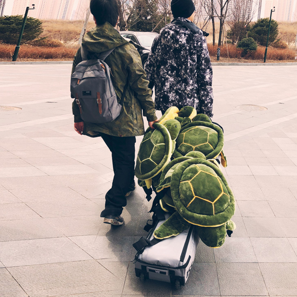 turtle snowboarding pad