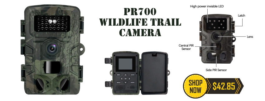 trail_camera