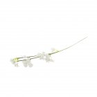 [EU Direct] 1PC CYNDIE Wedding Flower Pretty Artificial Fake Gypsophila Babys Breath Flower Plant Home Wedding Decor Single one
