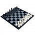  EU Direct  2 in 1 Travel Magnetic Chess   Checkers