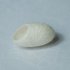  EU Direct  50pcs Organic Natural Facial Whitening Cleaning Exfoliator Silk Cocoons Beauty Silkworm Balls White