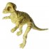  EU Direct  Model Dinosaur Skeleton Kit Assorted Set of 12pcs