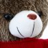  EU Direct  Plush Stuffed Animals Giant Teddy Bear with Red Love Sweater 60CM