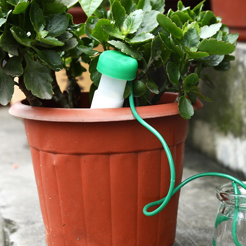 [EU Direct] Self-Watering Probes - Package of 5