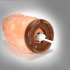  EU Direct  YRLLED Himalayan Salt Lamp 6ft Original Replacement Cord with Dimmer Switch and 7W Bulb E12 Socket 110V with UL Certification