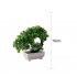  Indonesia Direct  Artificial Potted Plant for Home Dining table Office Decoration Orange